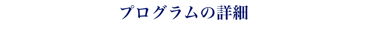 プログラムの詳細
